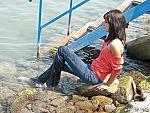 Free Pic